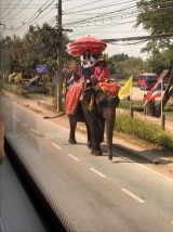 タイの観光用乗り物